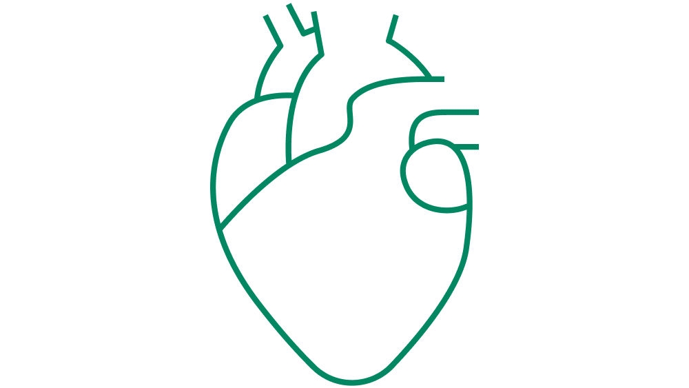 Ikona przedstawiająca anatomiczne serce człowieka w formie prostego rysunku liniowego, symbolizujące funkcję układu sercowo-naczyniowego lub opiekę kardiologiczną. 